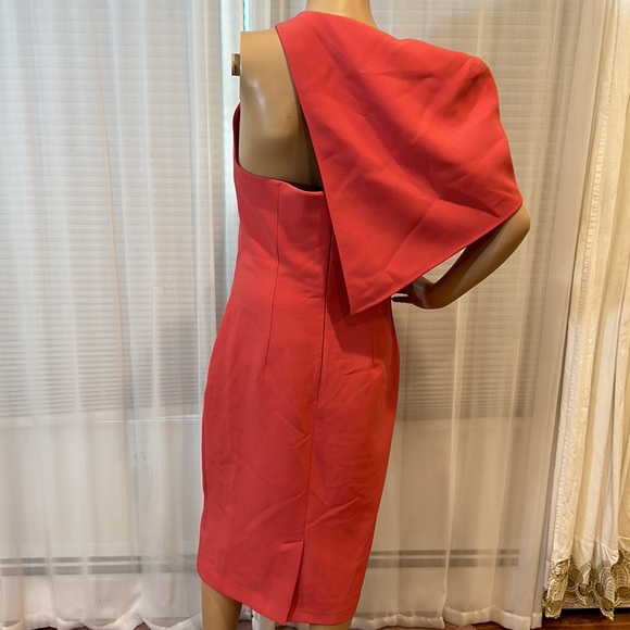 Safiyaa Carpianne Cape Dress - Picture 12 of 15